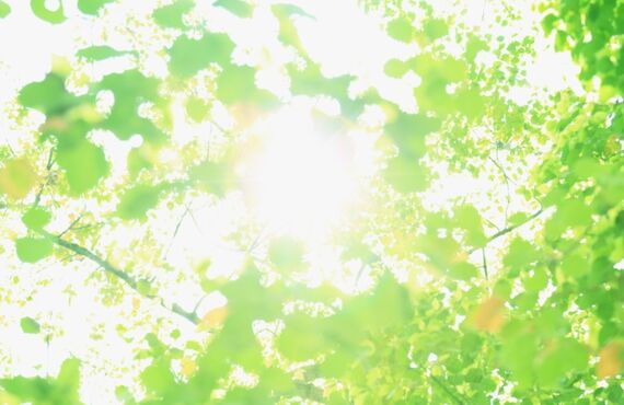 久留米市の西国分小学校校区で中古マンションをお探しはお任せ下さい